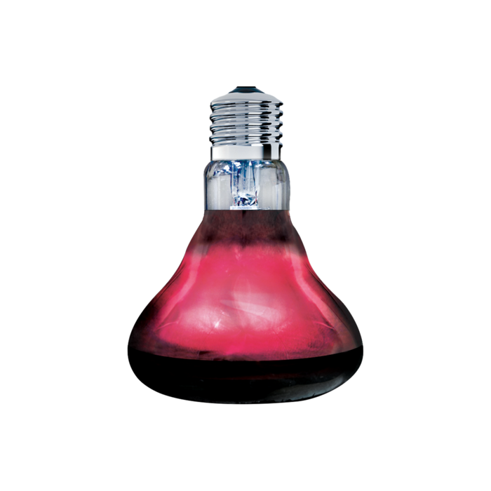 Arcadia Infrarood  Warmtespot 150 Watt