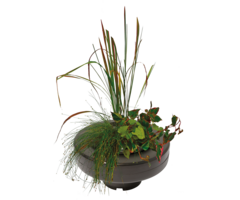 Superfish Floating Plant Basket 22 cm