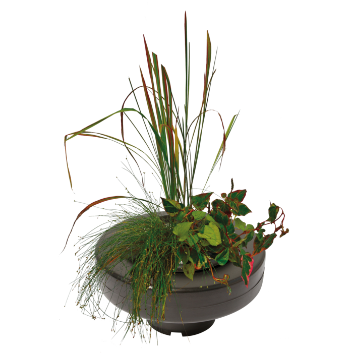 Superfish Floating Plant Basket 22 cm