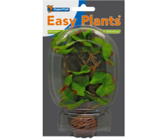 Superfish Easy Plants Voorgrond 13 cm
