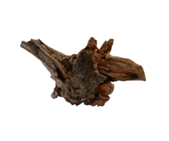 Superfish Driftwood Medium