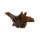 Driftwood Medium