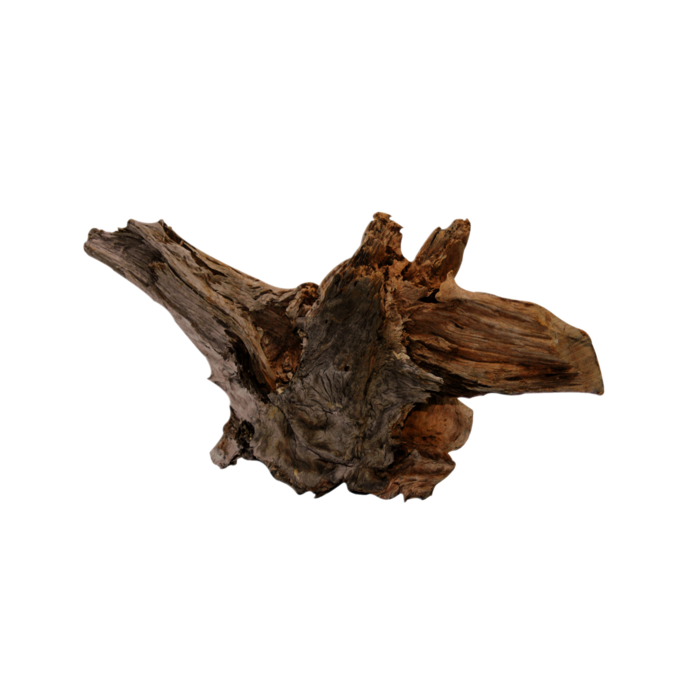 Superfish Driftwood Medium