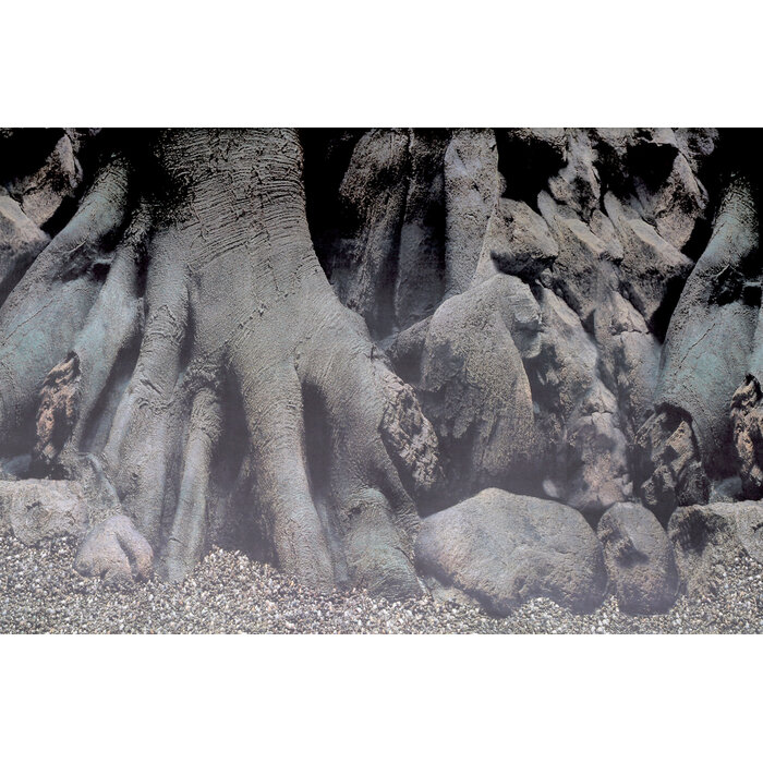 Superfish Deco Poster D