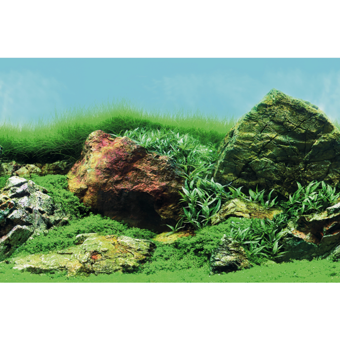 Superfish Deco Poster C