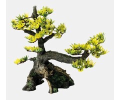 Superfish Deco Bonsai Medium