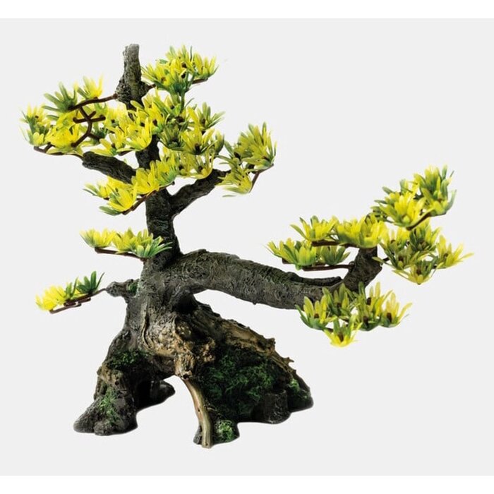 Superfish Deco Bonsai Medium