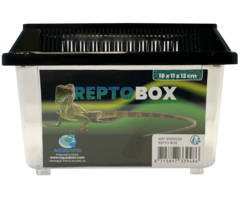 Repto Box