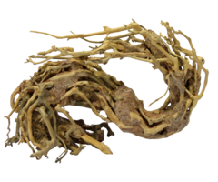 Superfish Bonsai Wave