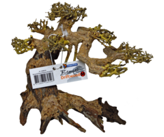 Superfish Bonsai Tree Driftwood Medium