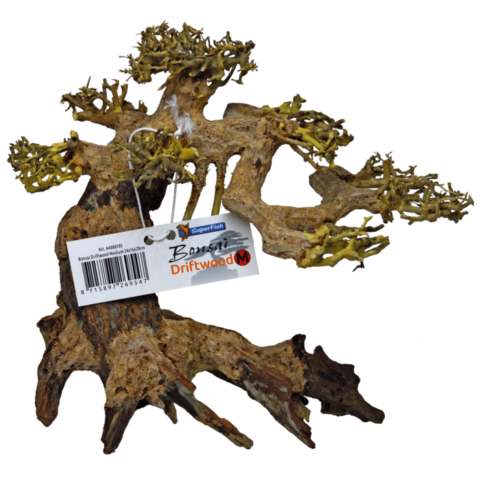 Superfish Bonsai Tree Driftwood Medium