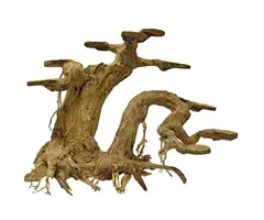 Superfish Bonsai Planter  Large