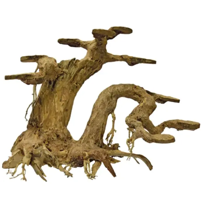 Superfish Bonsai Planter  Large