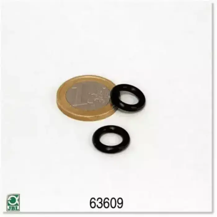 Jbl Proflora Co2 Vario 500 Dichtung P/2