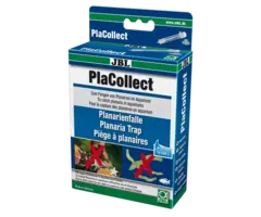 Jbl Placollect