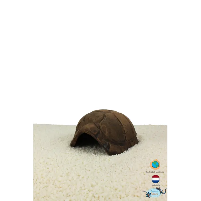 Ceramic Nature Turtle Caves