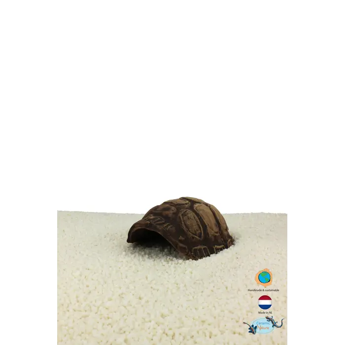 Ceramic Nature Turtle Caves