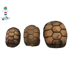 Ceramic Nature Turtle Caves Small 12x8x6 cm