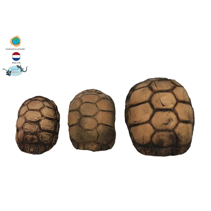 Ceramic Nature Turtle Caves
