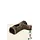 Y-Logs