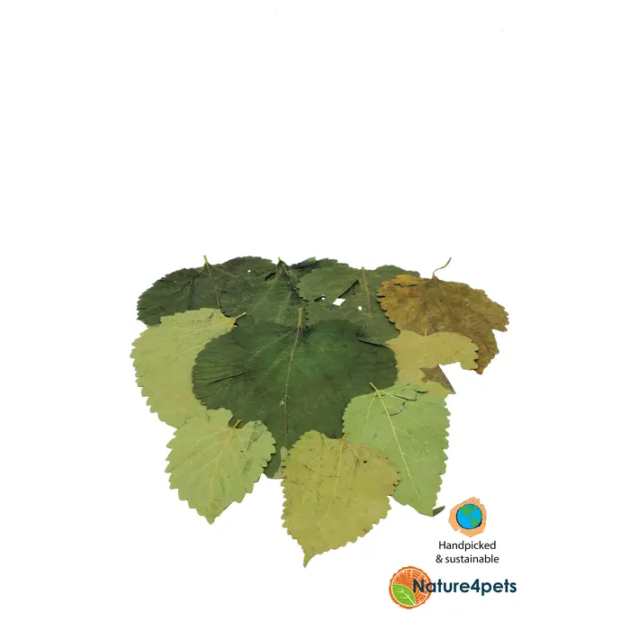 Ceramic Nature Mulberry Bladeren P/10