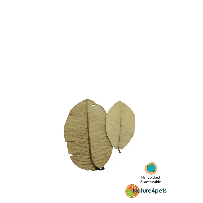 Ceramic Nature Guave Bladeren P/15
