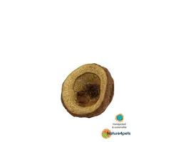 Ceramic Nature Chapeuzinho Pods