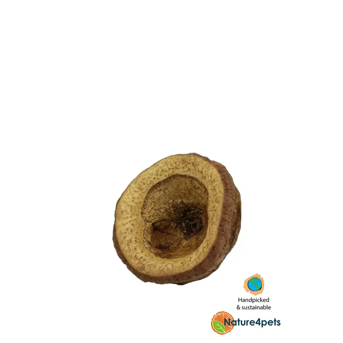 Ceramic Nature Chapeuzinho Pods