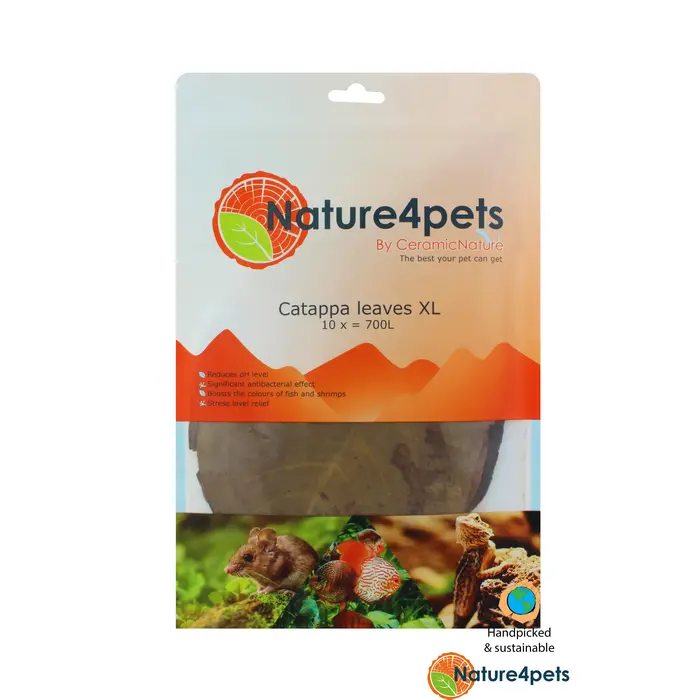 Ceramic Nature Catappa Bladeren