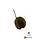 Buddha Pods Medium