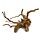 Spider Wood