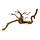 Spider Wood
