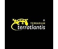 Terratlantis