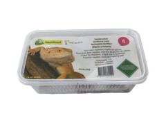 Reptifood Veldkrekels In Doosje