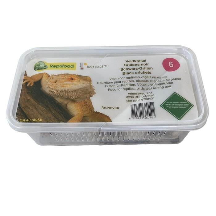 Reptifood Veldkrekels In Doosje