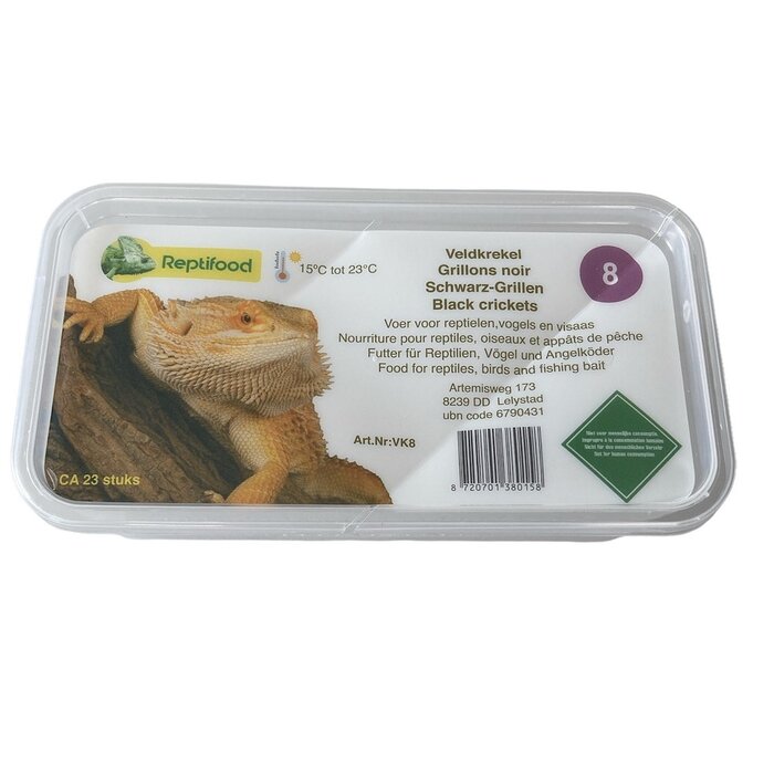 Reptifood Veldkrekels In Doosje