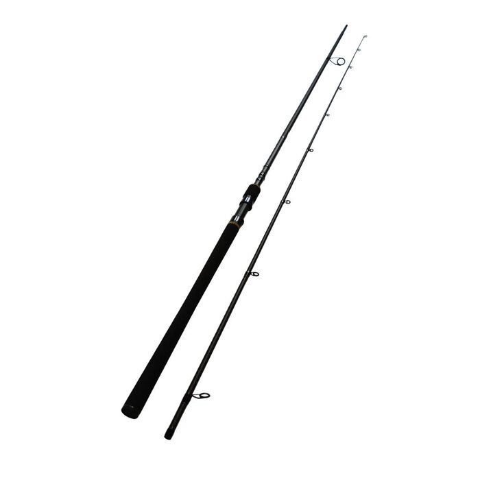 Lft SportCast SeaBass 3.00 M 25-65 gram