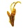 Ned Rig Larva Shads 2.5 cm P/5