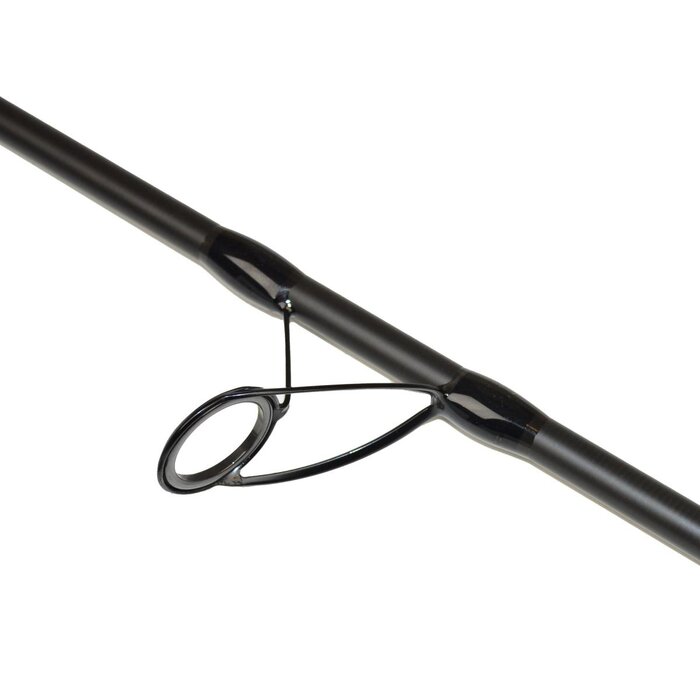 Lft Cyclone Sea Bass