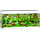 Rio 240 LED