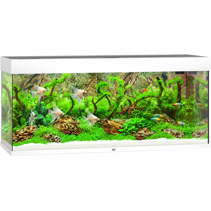 Juwel Rio 240 LED