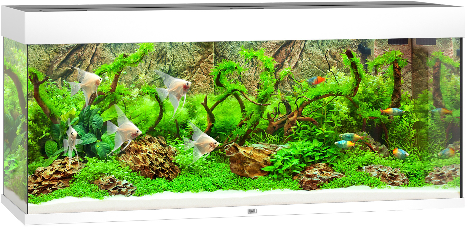 Juwel Rio 240 LED