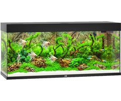 Juwel Rio 240 LED