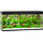 Rio 240 LED