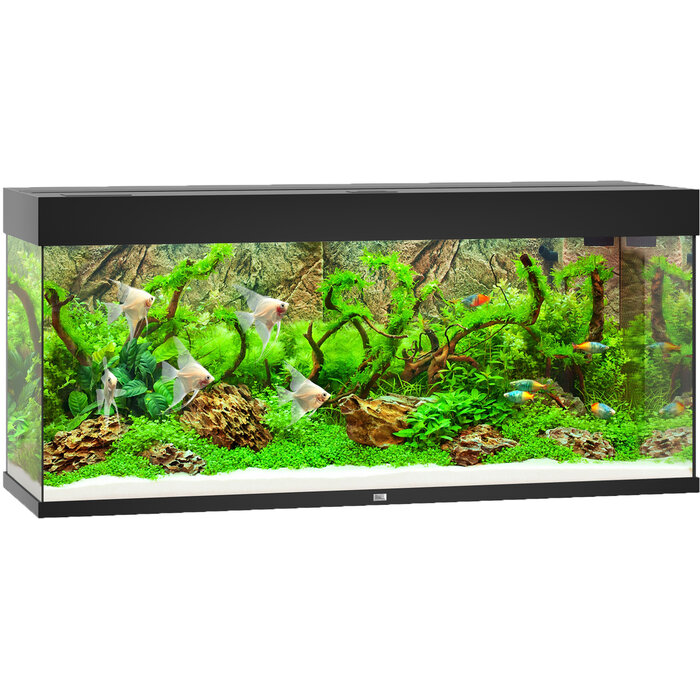Juwel Rio 240 LED