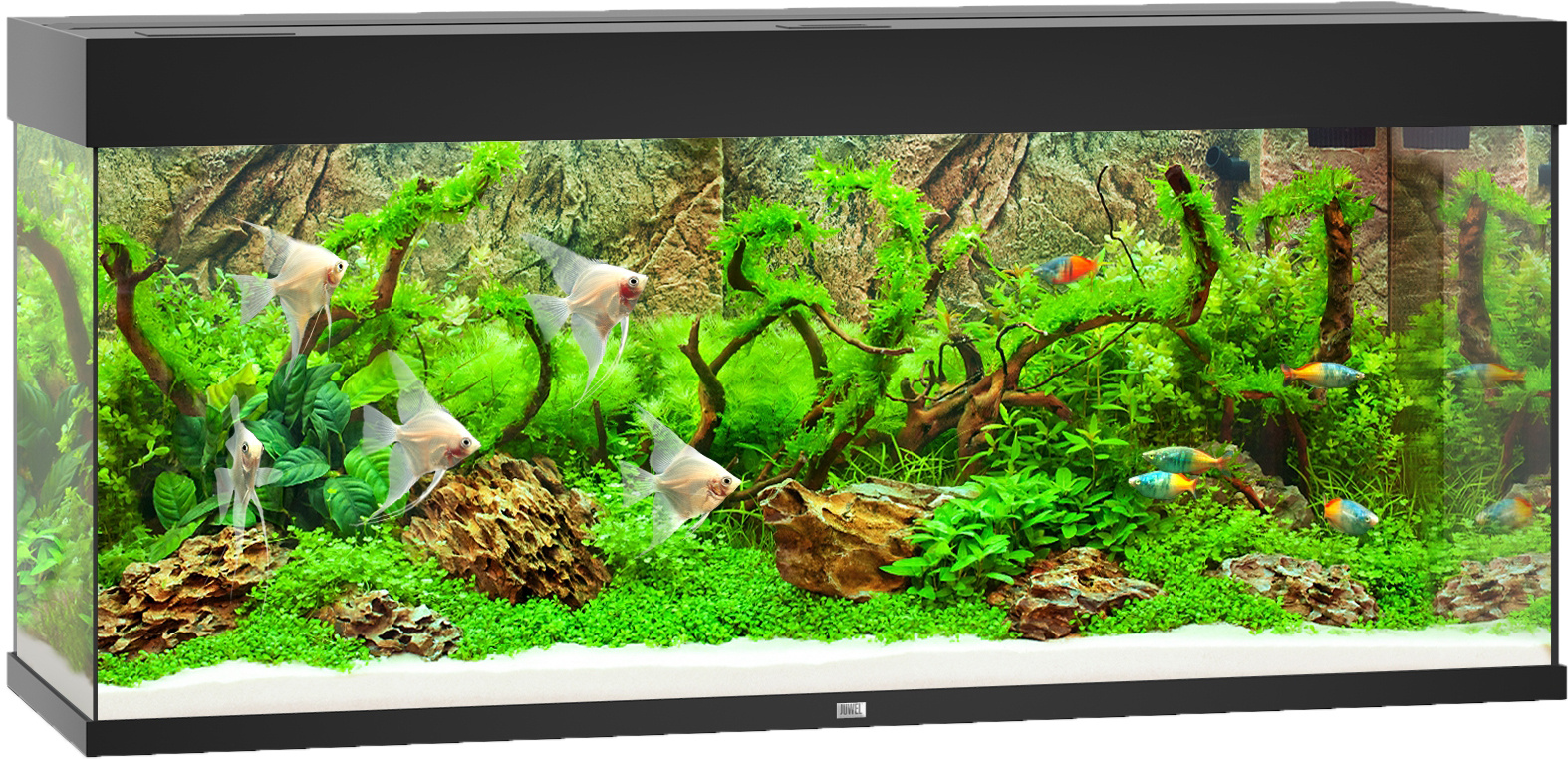 Juwel Rio 240 LED