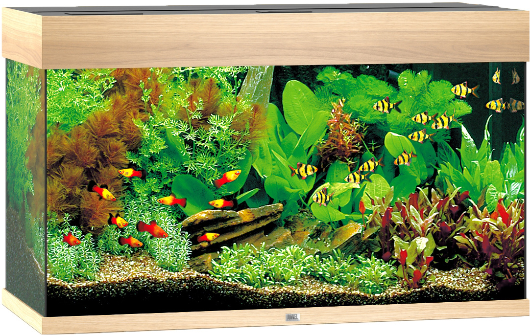 Juwel Rio 125 LED