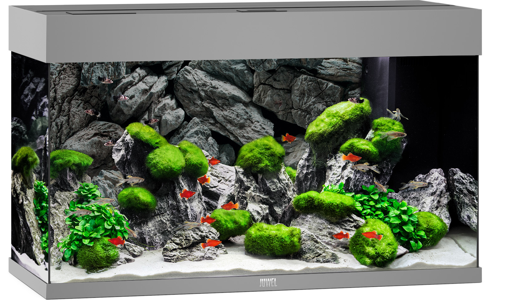 Juwel Rio 125 LED