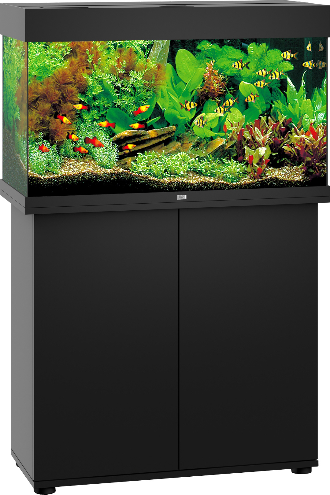 Juwel Rio 125 LED