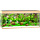 Rio 240 LED